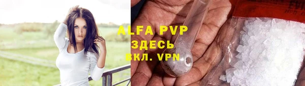 спиды Абаза