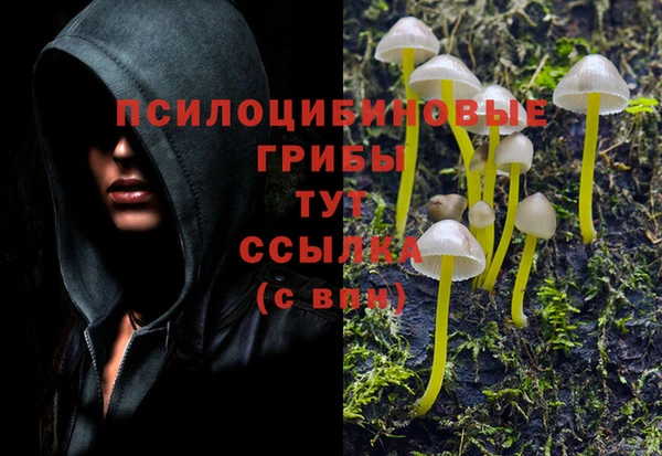 гидра Алексеевка