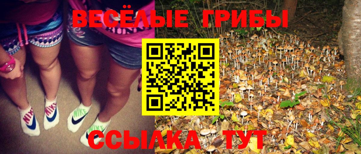 Калининград  Псилоцибиновые грибы мухоморы  Вход с VPN 